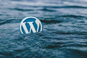 Essential WordPress Plugins for Your Business Website